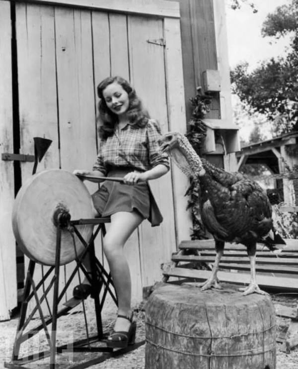 Retro Thanksgiving Pinups With Unexpected Vibes