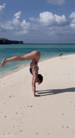 hot girls are here for you 32 gifs 3.html - 1 HD GIF | Premium Gallery 2024