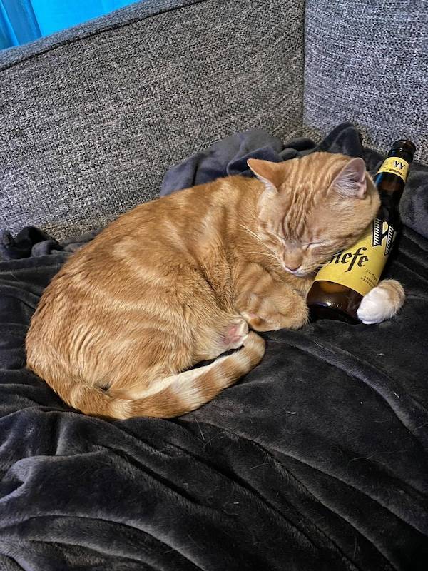 drinking time 46 pics 21.html - 46 HD Photos | Premium Gallery 2024