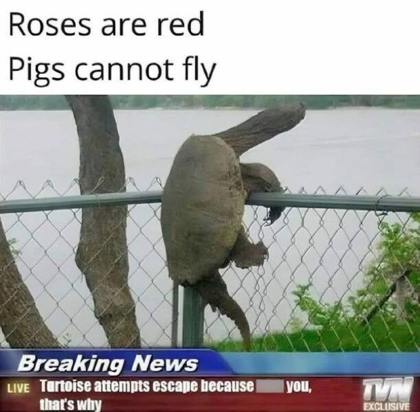 dirty minds are welcome 37 pics 17.html - 37 HD Photos | Premium Gallery 2025