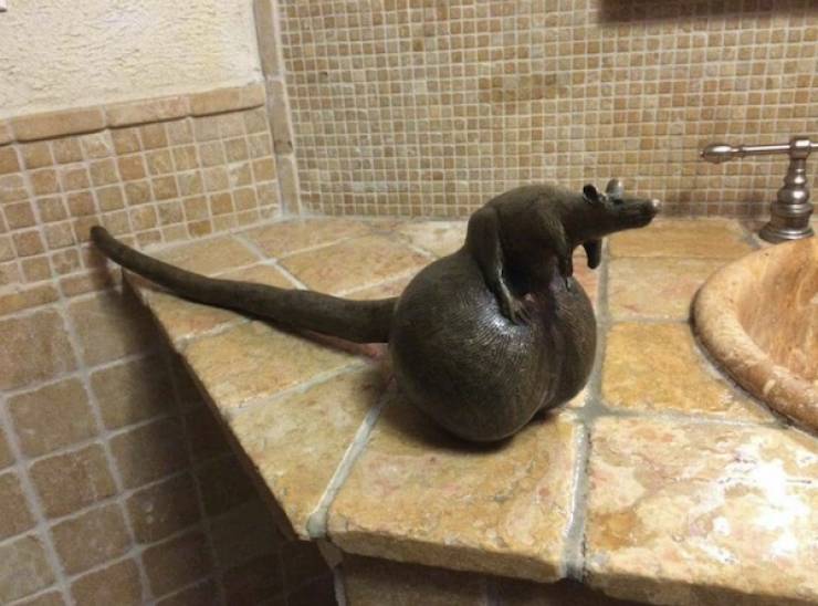 Dirty Minds Are Welcome!