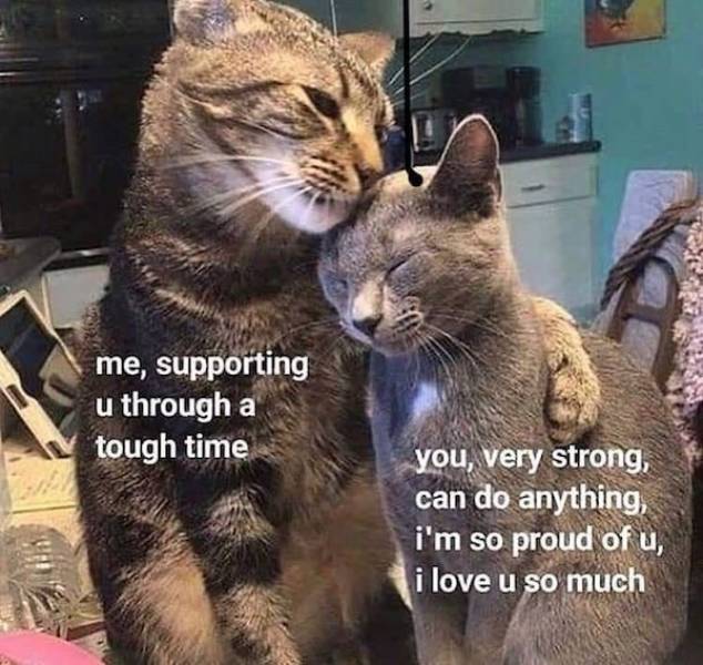 Flirty Memes To Send Your Better Half