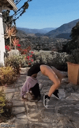 hot girls are here for you 32 gifs 6.html - 1 HD GIF | Premium Gallery 2025