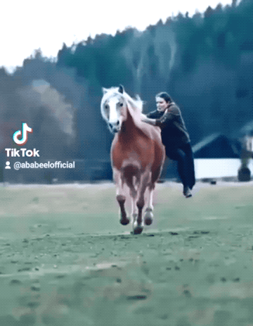 girls with skills 30 gifs 3.html - 1 HD GIF | Premium Gallery 2025