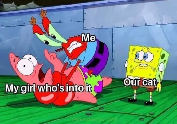 Flirty Memes To Send Your Better Half