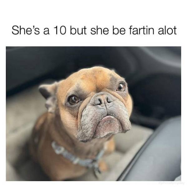 Flirty Memes To Annoy Your Significant Other
