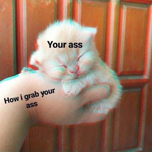 Flirty Memes To Send Your Better Half