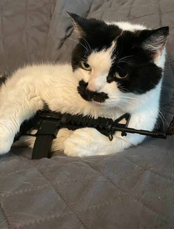 dirty minds are welcome 37 pics 9.html - 37 HD Photos | Premium Gallery 2025