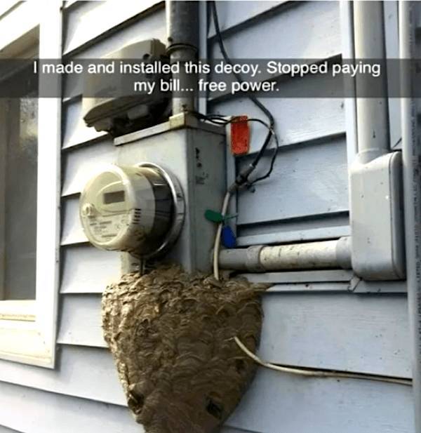 Beer-a-FULL Memes For Everyone!