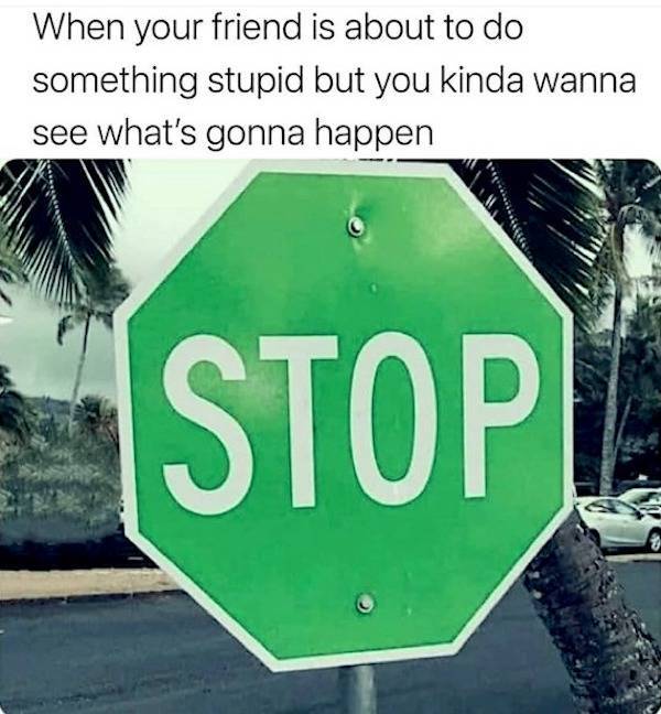 beerafull memes for everyone 44 pics 2.html - 44 HD Photos | Premium Gallery 2025