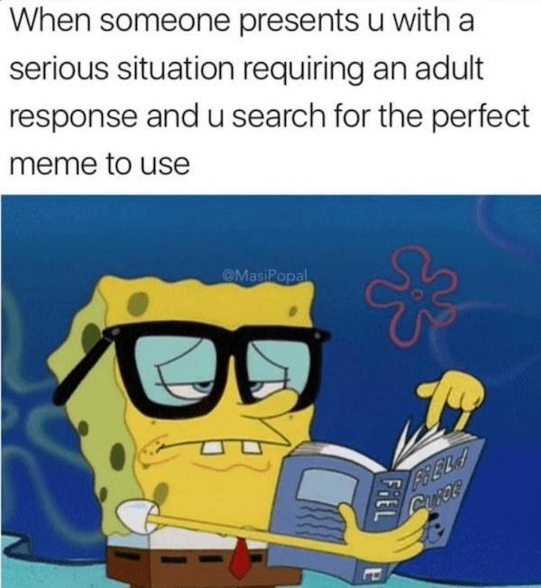 beerafull memes for everyone 44 pics 2.html - 44 HD Photos | Premium Gallery 2025