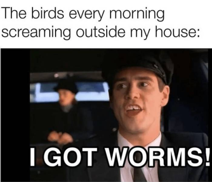 beerafull memes for everyone 35 pics 7.html - 35 HD Photos | Premium Gallery 2025