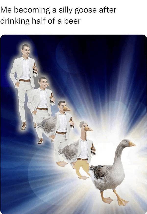 beerafull memes for everyone 35 pics 7.html - 35 HD Photos | Premium Gallery 2025