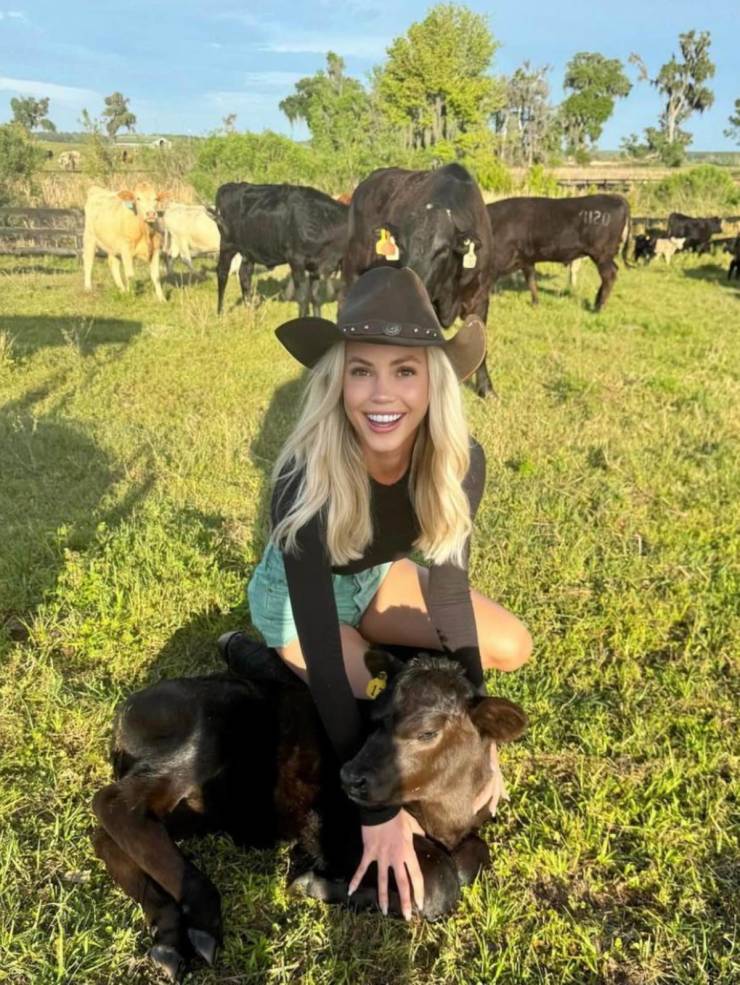 Sexy Chivettes Are Here!