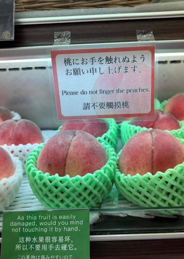 dirty dump for dirty minds 40 pics 2.html - 40 HD Photos | Premium Gallery 2025