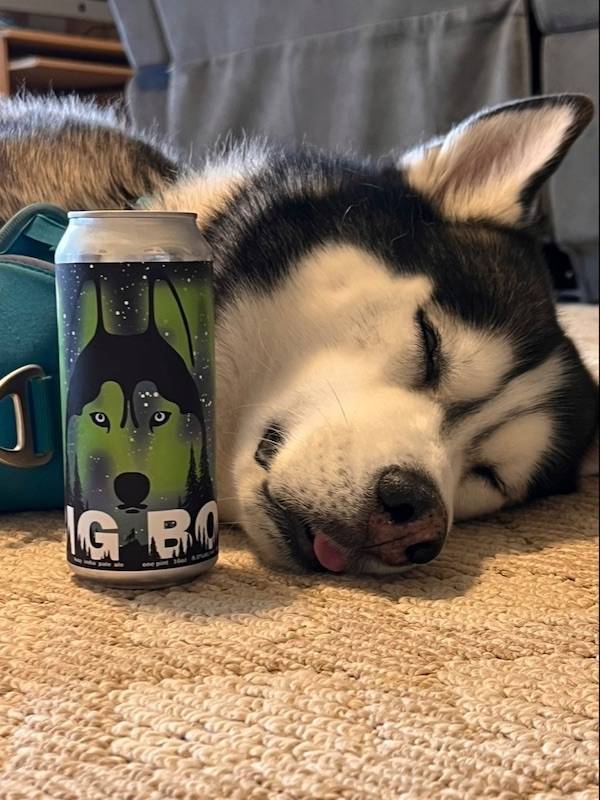 Drinking Never Ends!