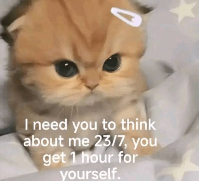 Flirty Memes To Send Your Better Half