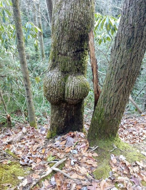 Dirty Minds Are Welecome!