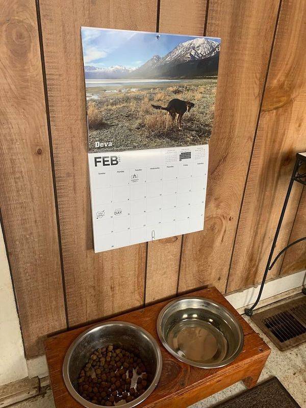 Dirty Dump For Dirty Minds