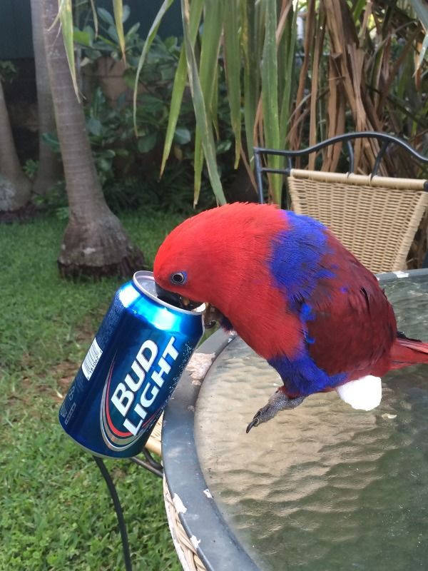 cheers everyone 33 pics 14.html - 33 HD Photos | Premium Gallery 2025