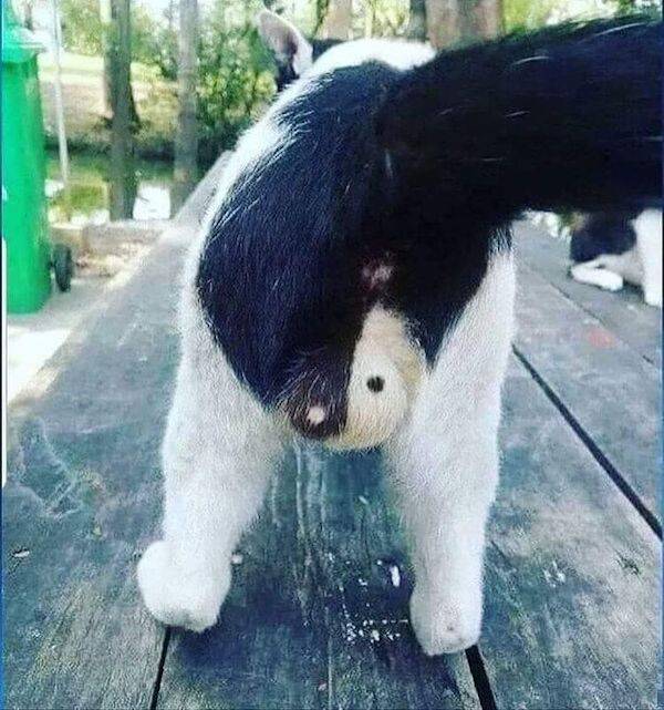 dirty dump for dirty minds 36 pics 2.html - 36 HD Photos | Premium Gallery 2025