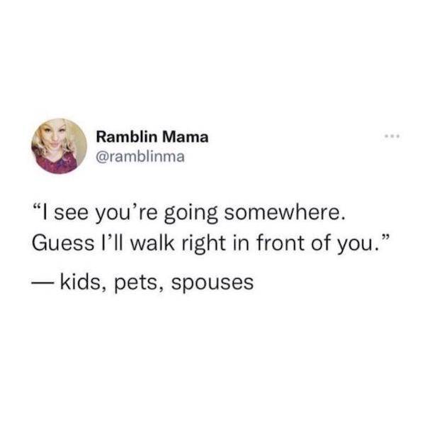 flirty memes to annoy your better half 32 pics 3.html - 32 HD Photos | Premium Gallery 2025