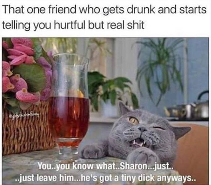 drinking never ends 35 pics 14.html - 35 HD Photos | Premium Gallery 2025