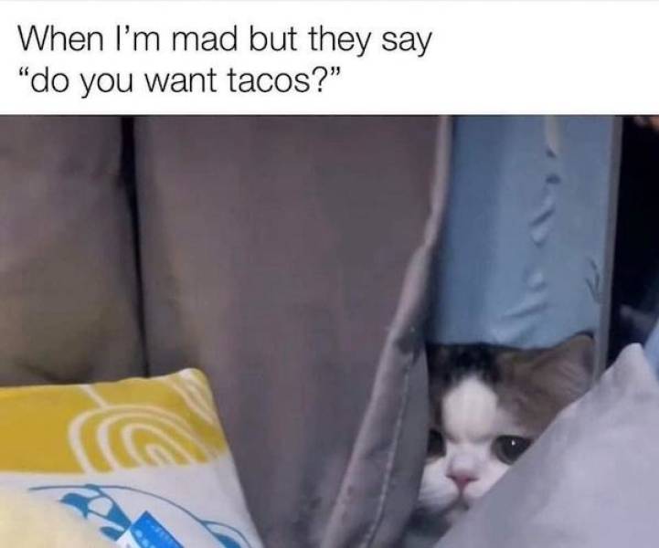 Dirty Dump For Dirty Minds