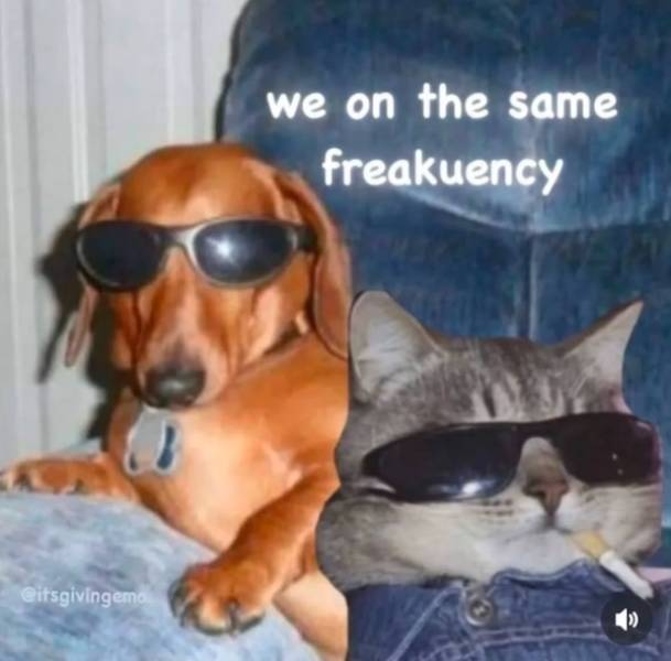 Flirty Memes To Send Your Better Half