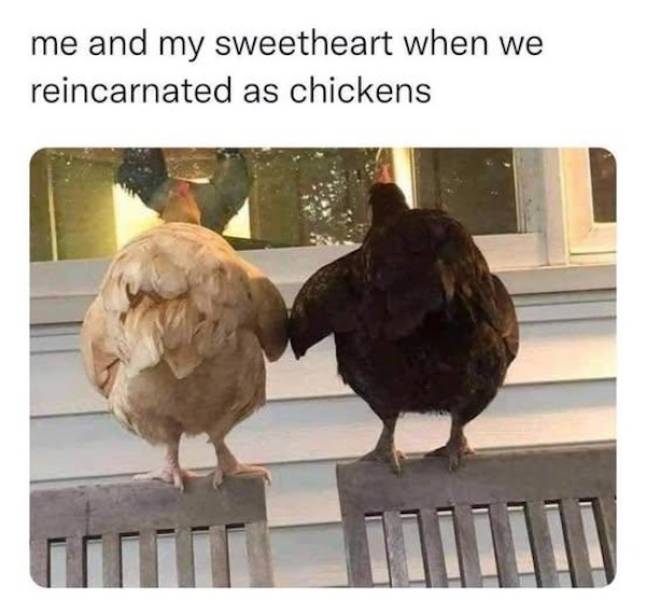 flirty memes to send your better half 33 pics 9.html - 33 HD Photos | Premium Gallery 2025