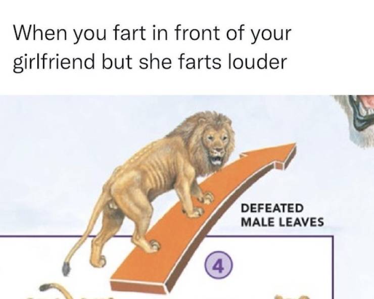 flirty memes to send your better half 33 pics 9.html - 33 HD Photos | Premium Gallery 2025