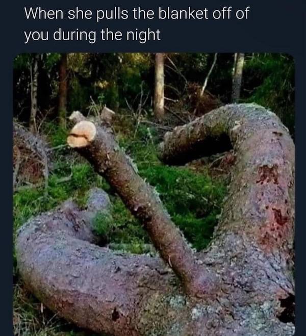 flirty memes to send your better half 33 pics 9.html - 33 HD Photos | Premium Gallery 2025