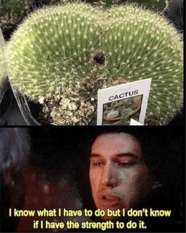 mildly arousing memes 45 pics 21.html - 45 HD Photos | Premium Gallery 2025