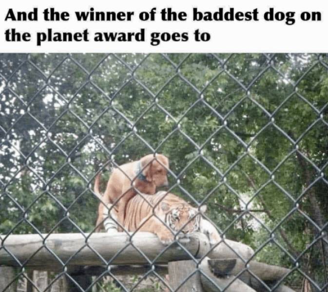 dirty dump for dirty minds 31 pics 14.html - 31 HD Photos | Premium Gallery 2025