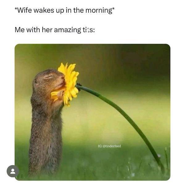 nsfw memes to add some spice to your life 43 pics 17.html - 43 HD Photos | Premium Gallery 2025