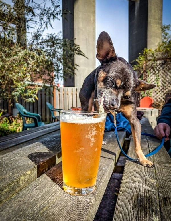 Drinking Never Ends!