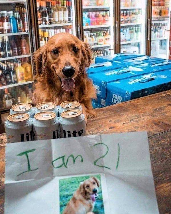 Drinking Never Ends!