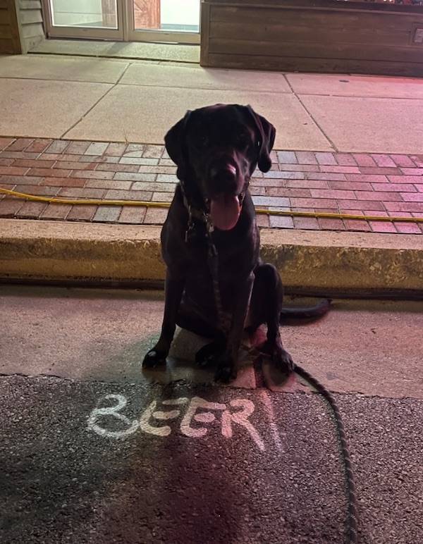 drinking never ends 40 pics 19.html - 40 HD Photos | Premium Gallery 2025