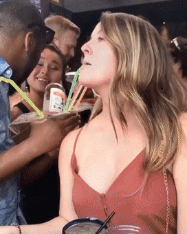 drinking never ends 40 pics 19.html - 40 HD Photos | Premium Gallery 2025