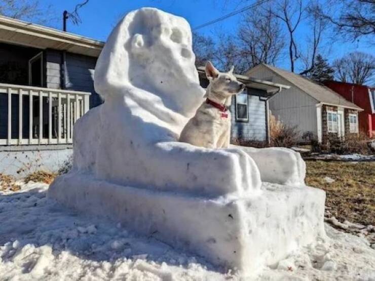 daily picdump 44 pics 12.html - 44 HD Photos | Premium Gallery 2026