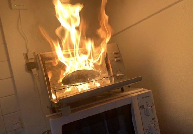 daily picdump 44 pics 12.html - 44 HD Photos | Premium Gallery 2026