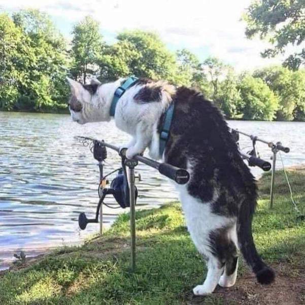 daily picdump 44 pics 12.html - 44 HD Photos | Premium Gallery 2026