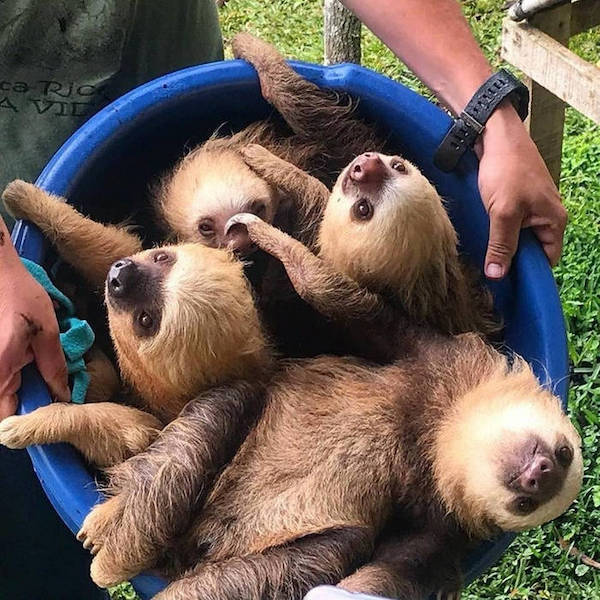 daily picdump 44 pics 12.html - 44 HD Photos | Premium Gallery 2026