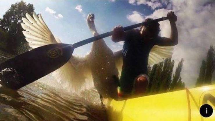 daily picdump 44 pics 12.html - 44 HD Photos | Premium Gallery 2026