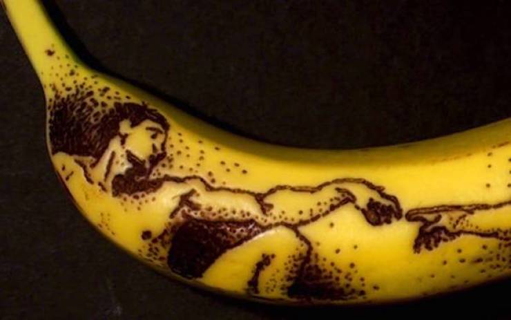 daily picdump 44 pics 12.html - 44 HD Photos | Premium Gallery 2026