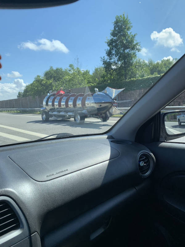 daily picdump 44 pics 12.html - 44 HD Photos | Premium Gallery 2026