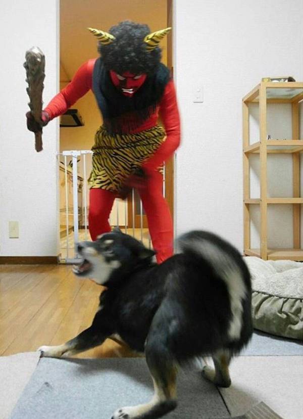 daily picdump 44 pics 12.html - 44 HD Photos | Premium Gallery 2026