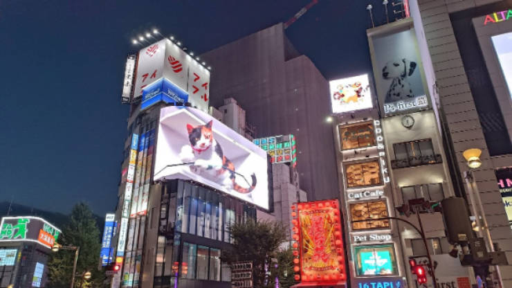 Japan’s Technology Is on Another Level