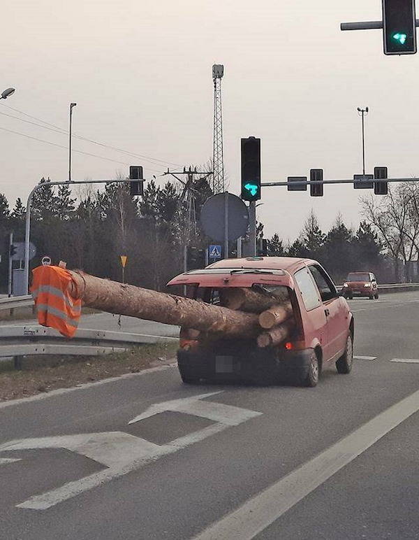 Road Trips Gone Weird