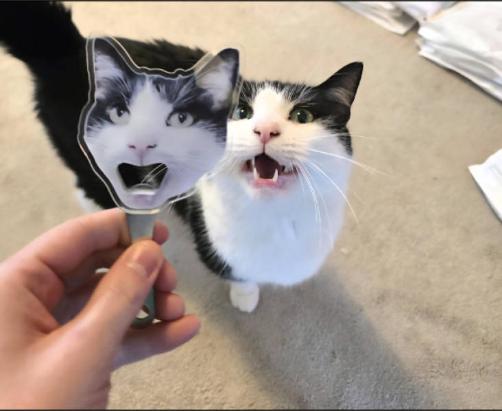 WTF Did I Just See?!